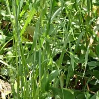 手計 (@tebakari4615) 's Twitter Profile Photo