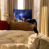 Solo (@4urviewingplsr) 's Twitter Profile