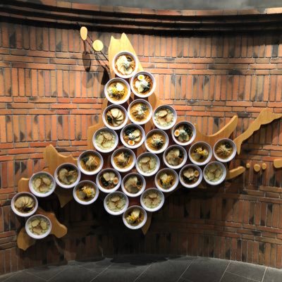 ashikusakaijin's profile picture. 