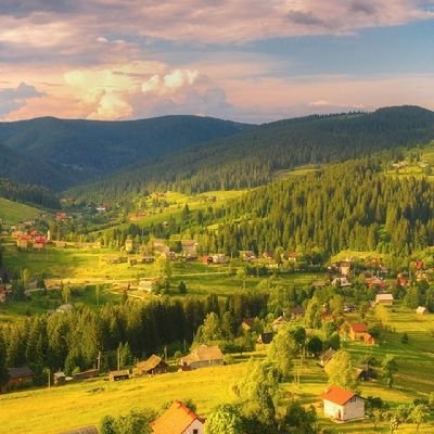 amirjaan1111's profile picture. Love