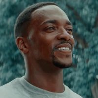 Sam Wilson (RP) (@wingsandshield) 's Twitter Profile