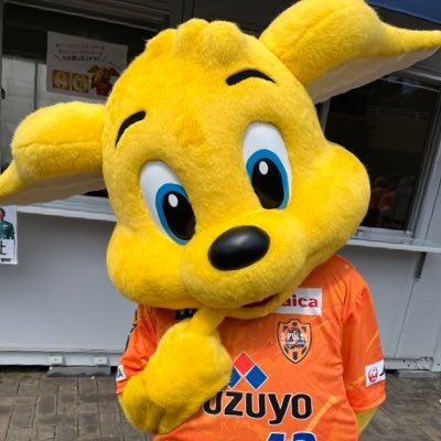 noa_spulse's profile picture. 