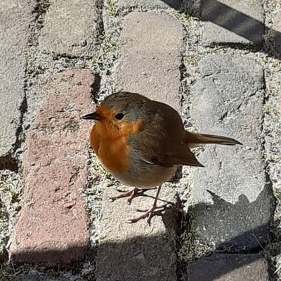 gernel65's profile picture. 