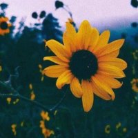Mam_jam (@jammy_mammy10) Twitter profile photo