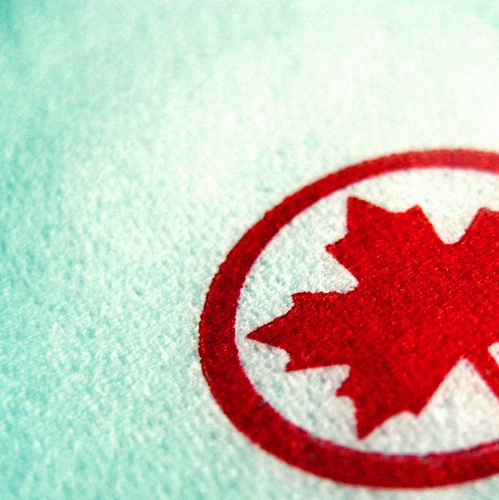 ujimatcha's profile picture. 