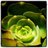 malumondi's profile image