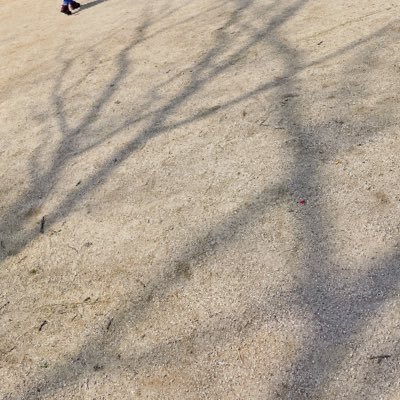 34432adgjmptw's profile picture. 夫と義親の愚痴専用アカウント。義親とは完全二世帯で1階と2階で玄関から全部別。玄関横に鍵付内扉有り。夫は14歳歳上元上司。4歳児🎀と2歳児🎀の母。実家は車で10分