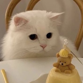 咪さんのプロフィール画像