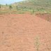 RUSHAKI Sector/Gicumbi District (@rushaki_sector) Twitter profile photo RUSHAKI Sector/Gicumbi District (@rushaki_sector) Twitter profile photo
