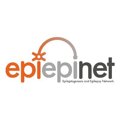 EpiEpiNet - Epileptogenesis & Epilepsy Network