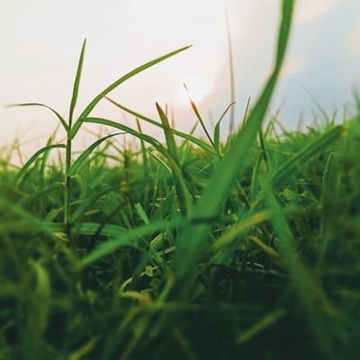 skadilhossain's profile picture. Keep it up