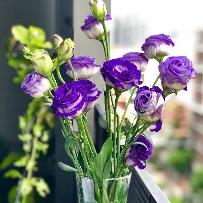 soothin35661714's profile picture. Travel and shopping enthusiast! Also an ARMY :)