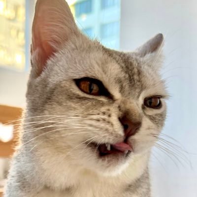 chromatigaa's profile picture. 