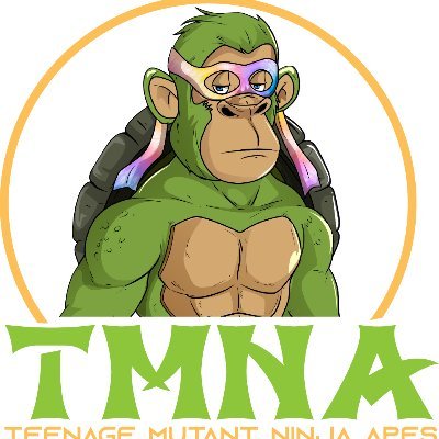 TMNA will feature unique traits and rares, any holders of either will receive NFTx of their character for the new street fighter game to be used only by  owner