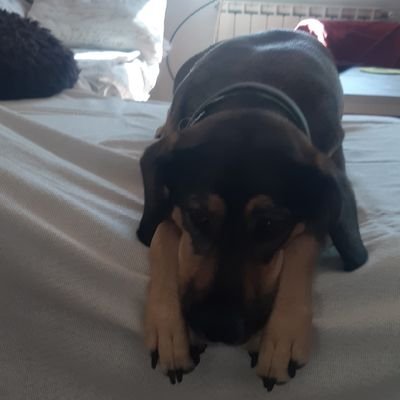 Rosaparks71's profile picture. donde me llevo?