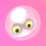 （未定）さんのプロフィール画像