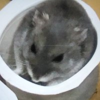 Top bokko (@furubokkodadonw) 's Twitter Profile Photo