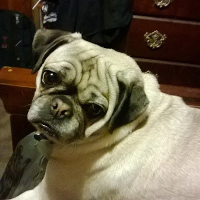 MaryWil53314783's profile picture. Chiefs fan. Sci fi gamer