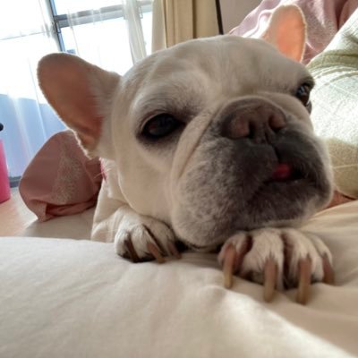 slowflow1984's profile picture. 平凡でいい