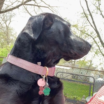 sonar_gg's profile picture. Weather nerd, twitch affiliate, sports card collector. #DCTID