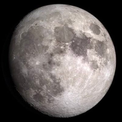 sspaccy's profile picture.