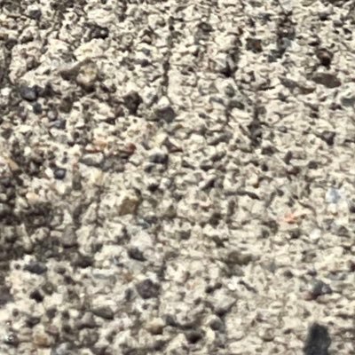 brianjames333's profile picture. 