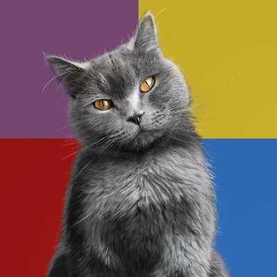 This is Benji Cat art page!
Visit my opensea acc for NFT
https://t.co/e9Oe2S0U82