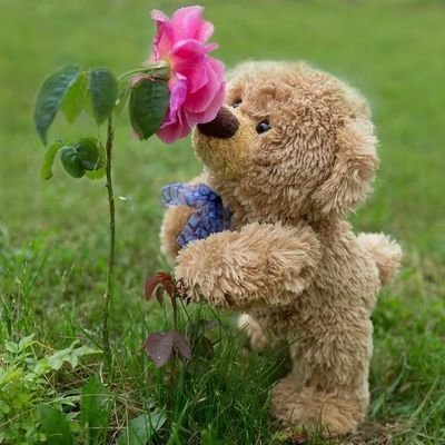 birdyxsky's profile picture. Live love laugh💖||

Tech💙Sports❤Fiction💛Memes🤍Reality Shows💚Novels💜Poems🖤||
 Neutral views not intended to hurt anyone💁