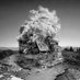 Jim Kazanjian (@jim_kazanjian) Twitter profile photo Jim Kazanjian (@jim_kazanjian) Twitter profile photo