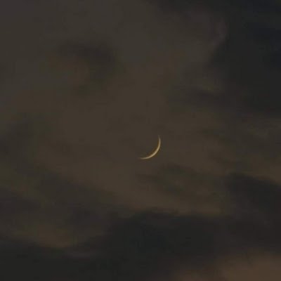 scartichuu's profile picture. 