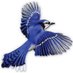 New Hampshire Secession (@nhsecession) Twitter profile photo New Hampshire Secession (@nhsecession) Twitter profile photo