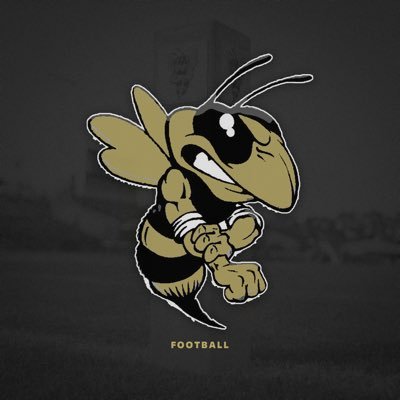Official Twitter account for Wayne County Football 🐝