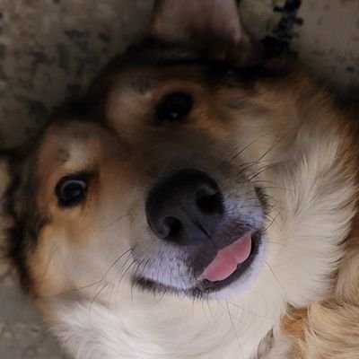 WalterHowey's profile picture. 