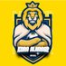 كورة | #النصر 🦁 (@9NFCBALL) Twitter profile photo