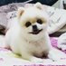 떠기 (@sini6235) Twitter profile photo 떠기 (@sini6235) Twitter profile photo