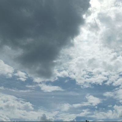 LucasVi39907213's profile picture. 160