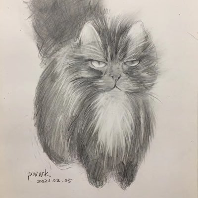 Pwwkvoyage's profile picture. 爱画画的建筑设计师
