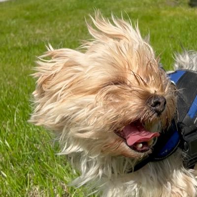 WendyKellyOBX's profile picture. “Simplicity is the ultimate sophistication.” ~ Leonardo da Vinci