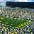 DSW_GoBlue's profile image