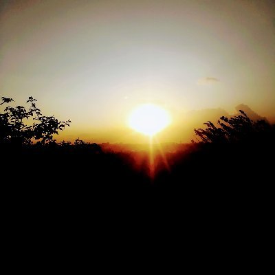HevwaB's profile picture. African. Writer. Village shape shifter.