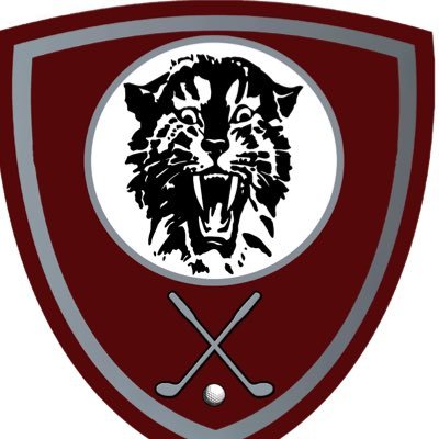 Official Twitter of BCHS Fighting Tiger golf team! Follow for updates, events, scores, and more!