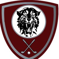 Breck Co. Fighting Tiger Golf (@breckcountygolf) Twitter profile photo