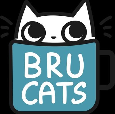 Bru Cats fosters kittens from @HSNT1. Check us out at https://t.co/lm7NHZM1zn and https://t.co/7tOC828bf0!