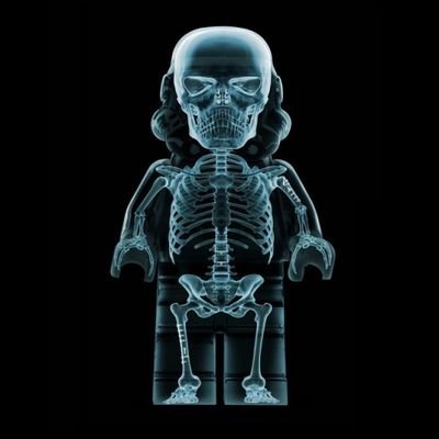 d19183's profile picture. AFOL, Traveller, Sneakerhead