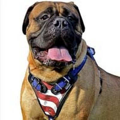 caleb_opeyemi1's profile picture. Cheerful being and lovely. An enthusiastic and teachable guy