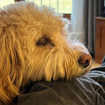 0lefart28's profile picture. Retired