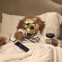 มิสแกรนเด (@callmeegrande) 's Twitter Profile Photo