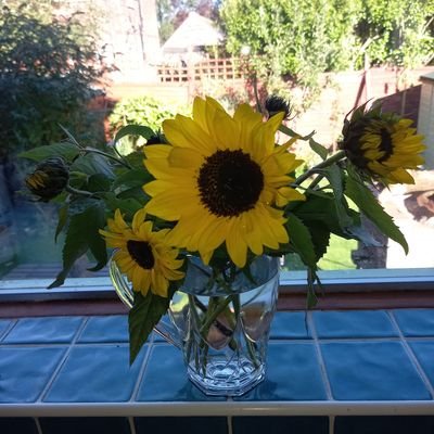 hev298's profile picture. Young at heart soul mate.. lover of life....amateur gardener...who loves home cooking... walking...living by the sea  and travelling.