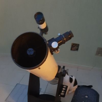 Jupiter072021's profile picture. only the 1st P matter...
democracies called me an N, but they never know me or my familie. Thank you