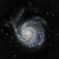 Starry Hill 🐝🇺🇦 (@hillstarry) 's Twitter Profile